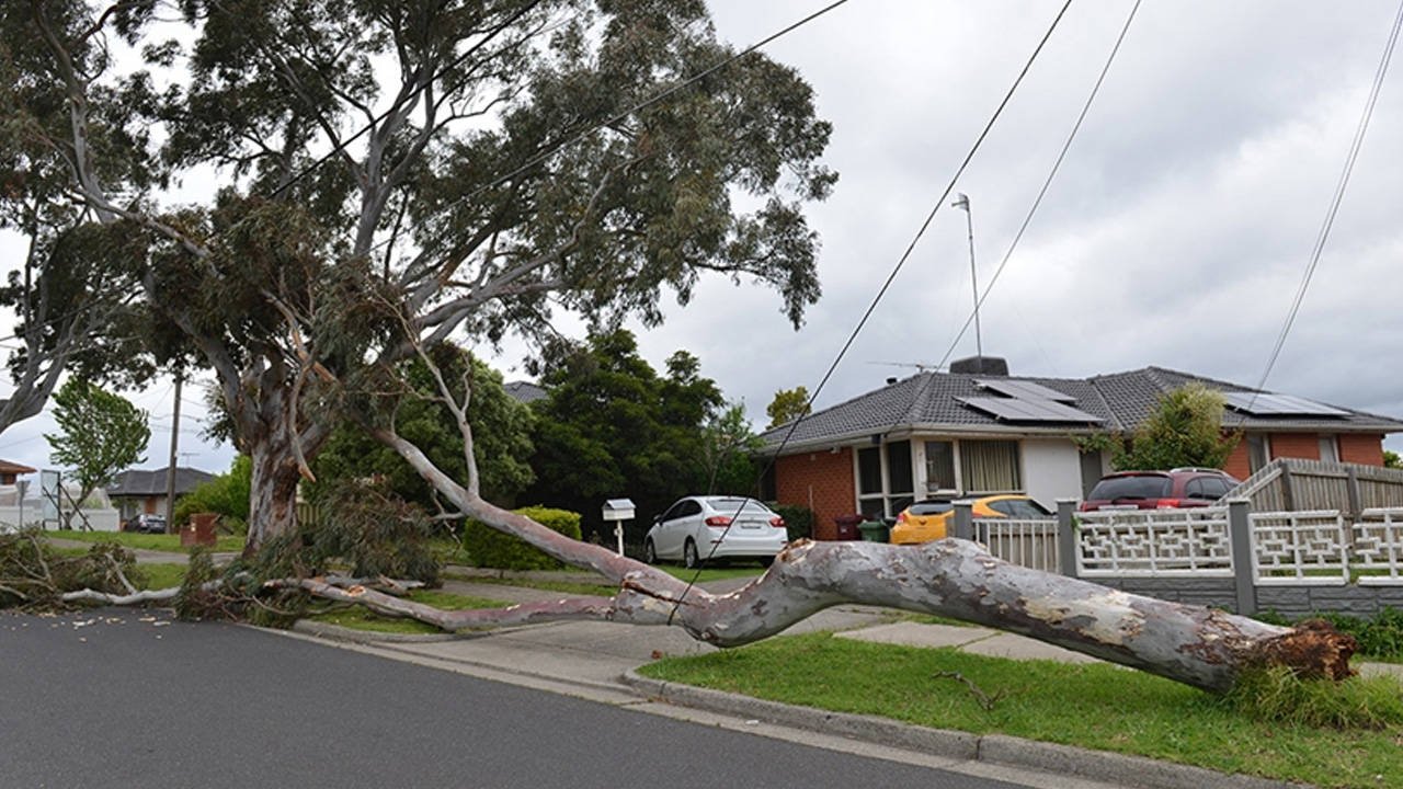 Avustralya'da Fırtına Felaketi: 9 Kişi Hayatını Kaybetti