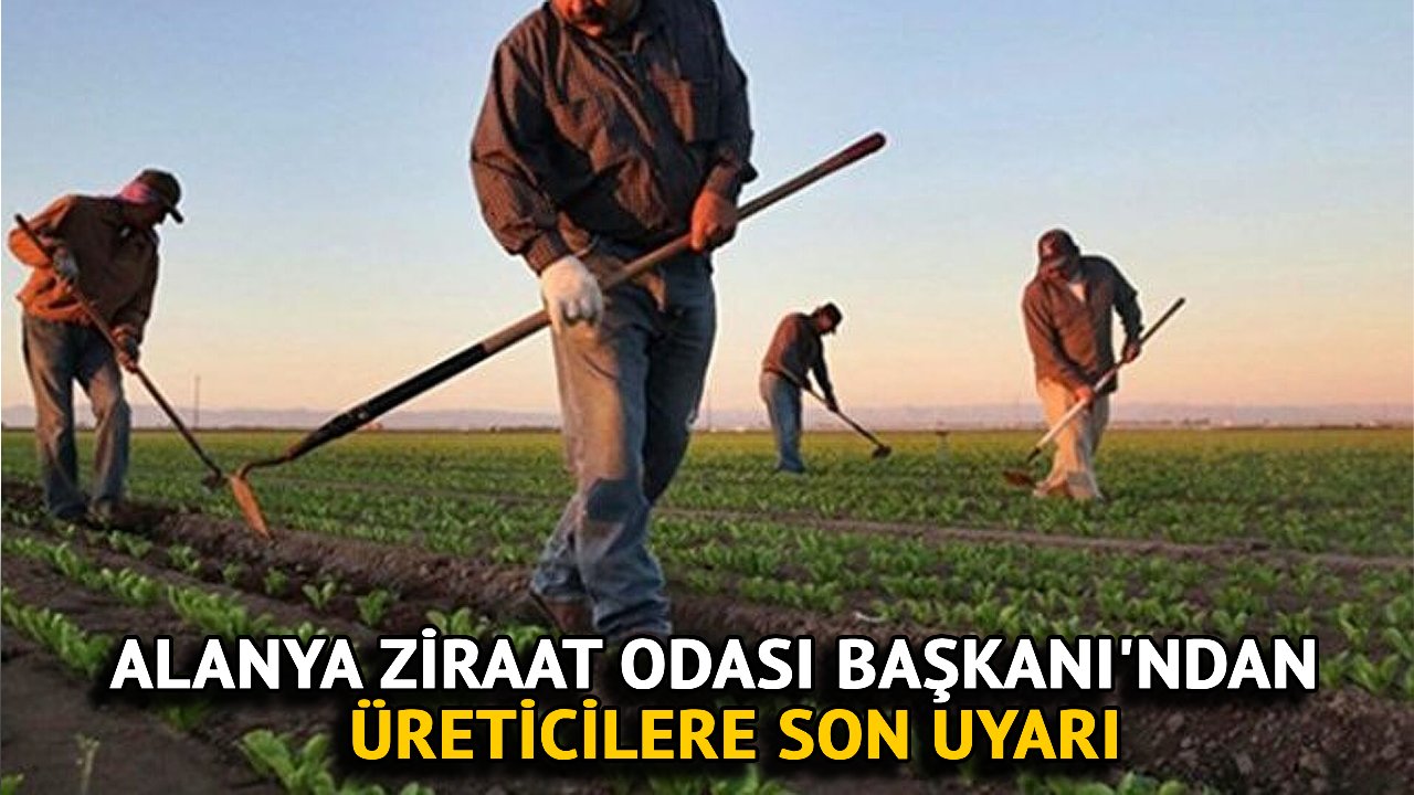 Alanya Ziraat Odası Başkanı'ndan Üreticilere Son Uyarı