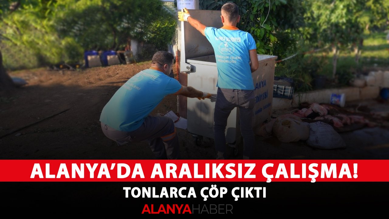 Alanya Belediyesi'nden aralıksız çalışma! Tonlarca çöp çıktı
