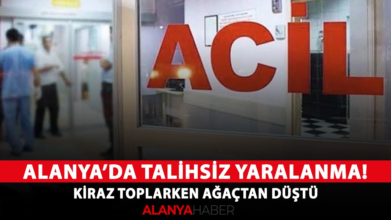 Alanya'da talihsiz yaralanma! Kiraz toplarken ağaçtan düştü