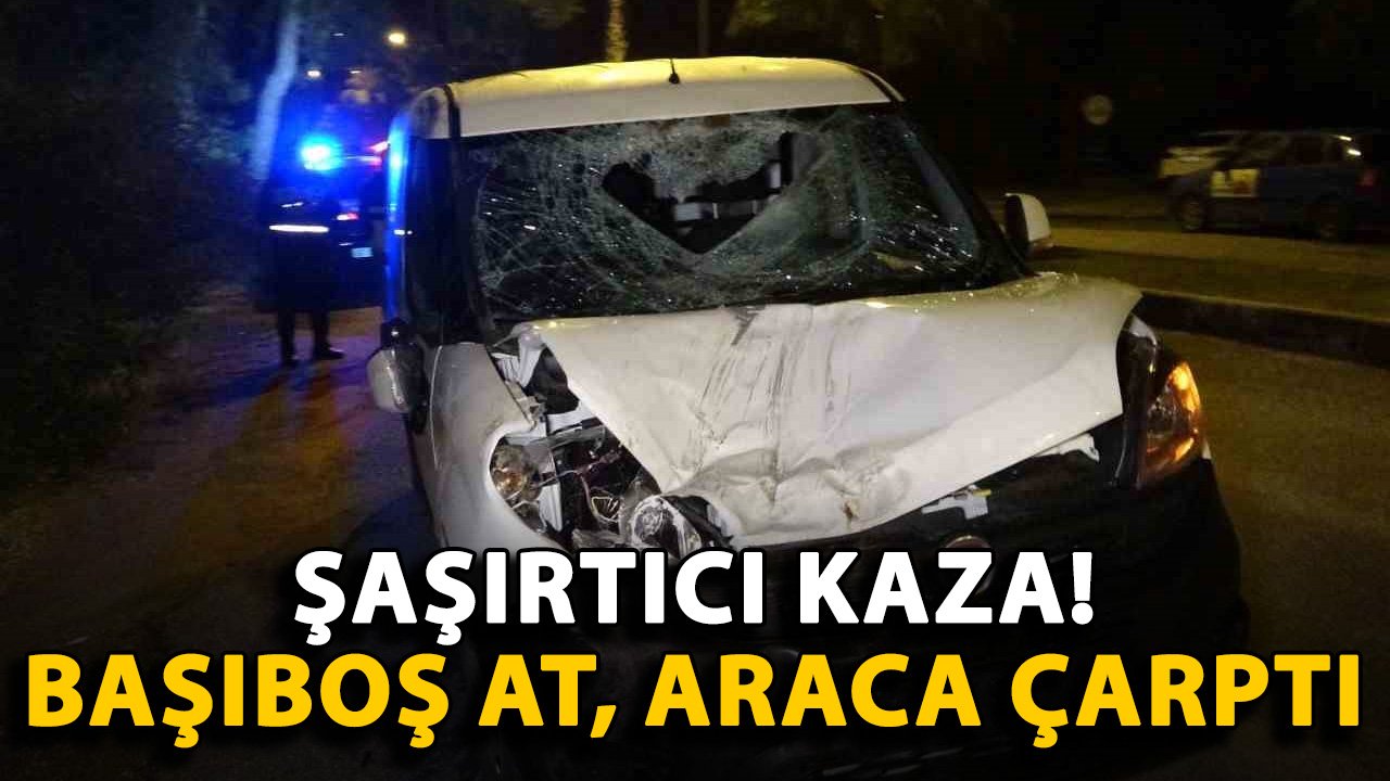 Şaşırtıcı kaza! Başıboş at araca çarptı