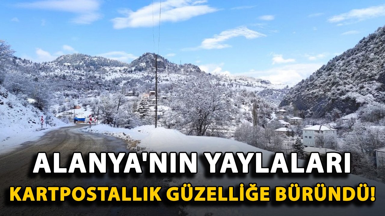 Alanya'nın yaylaları kartpostallık güzelliğe büründü!