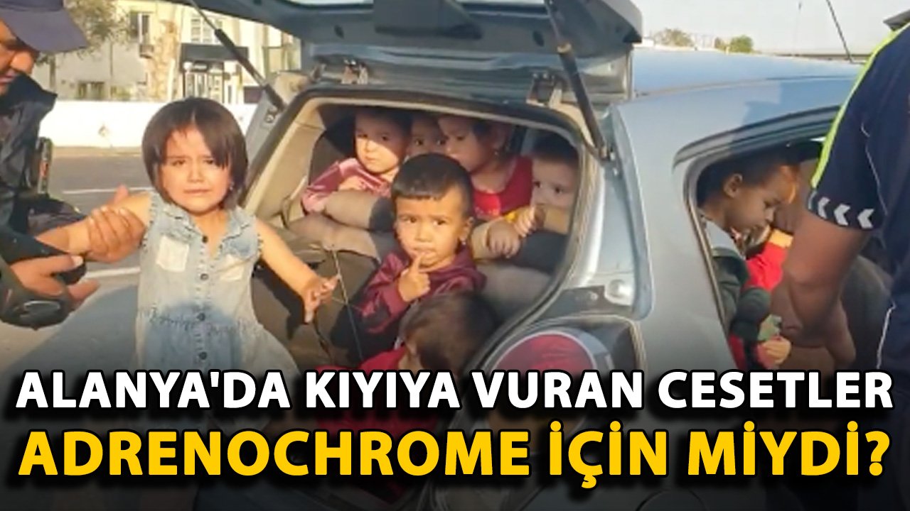 Alanya'da kıyıya vuran cesetler, adrenochrome için miydi?