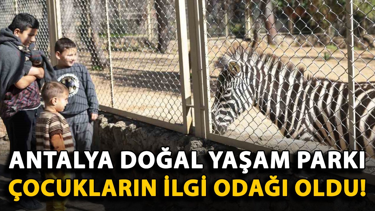 Antalya Doğal Yaşam Parkı, çocukların ilgi odağı oldu!