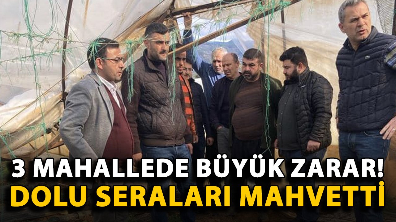 Alanya'da 3 mahallede büyük zarar! Dolu seraları mahvetti