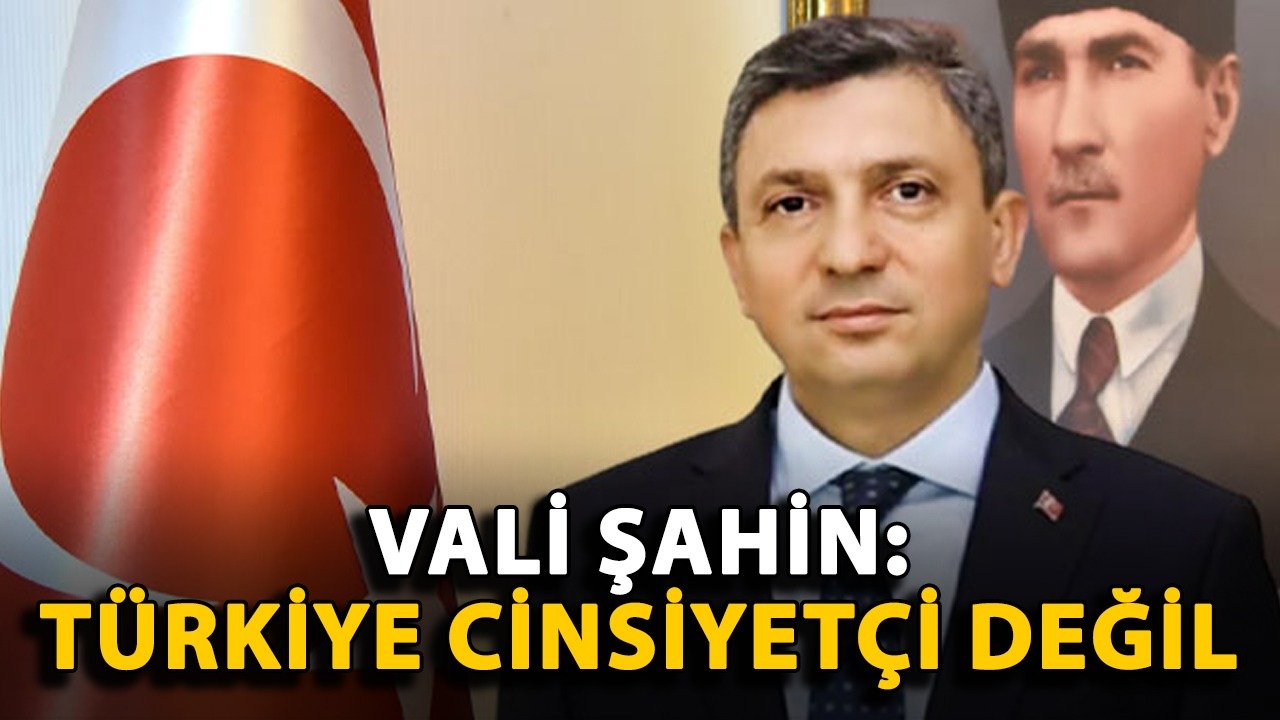 Vali Şahin: Türkiye cinsiyetçi değil