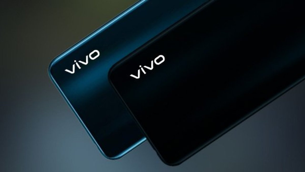 vivo.jpg