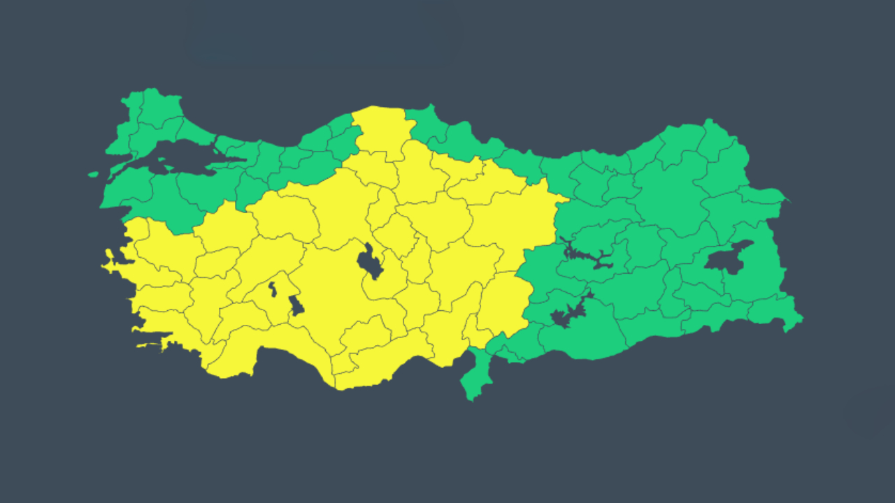 2060991-001.jpg