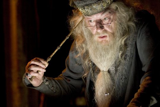 dumbledore-and-elder-wand.jpeg